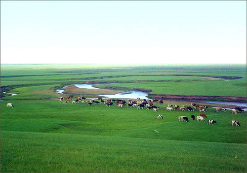 Xilamuren Grassland